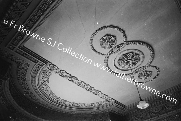 BALLYFIN HOUSE CEILING OF LIBRARY